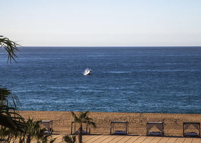The Towers At Pueblo Bonito Pacifica (adults Only)